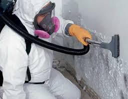 Mold Odor Removal Services in Willowbrook, CA